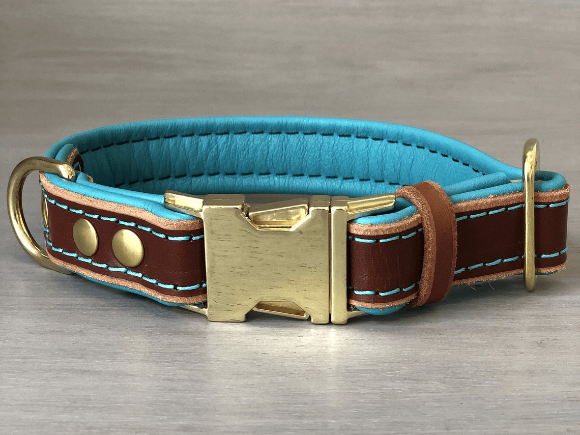 Padded Leather Quick Release Dog Collar in Papaya and Teal Etsy