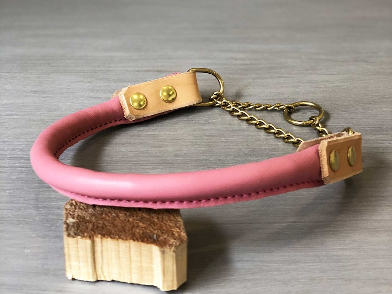 Rolled Leather Martingale Dog Collar Solid Brass Hardware Etsy