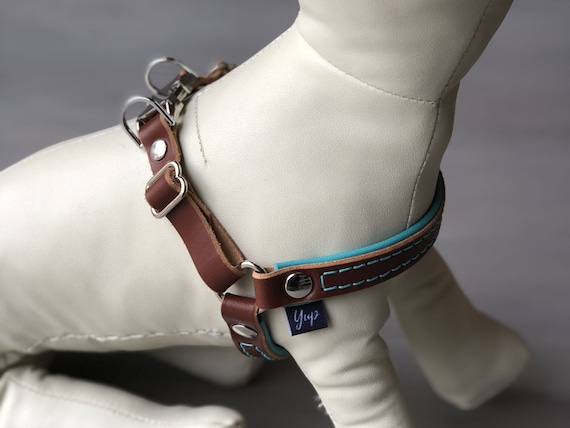 soft step in dog harness