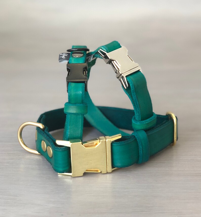 Emerald Green Leather Dog Collar with Brass Silver or Black Etsy