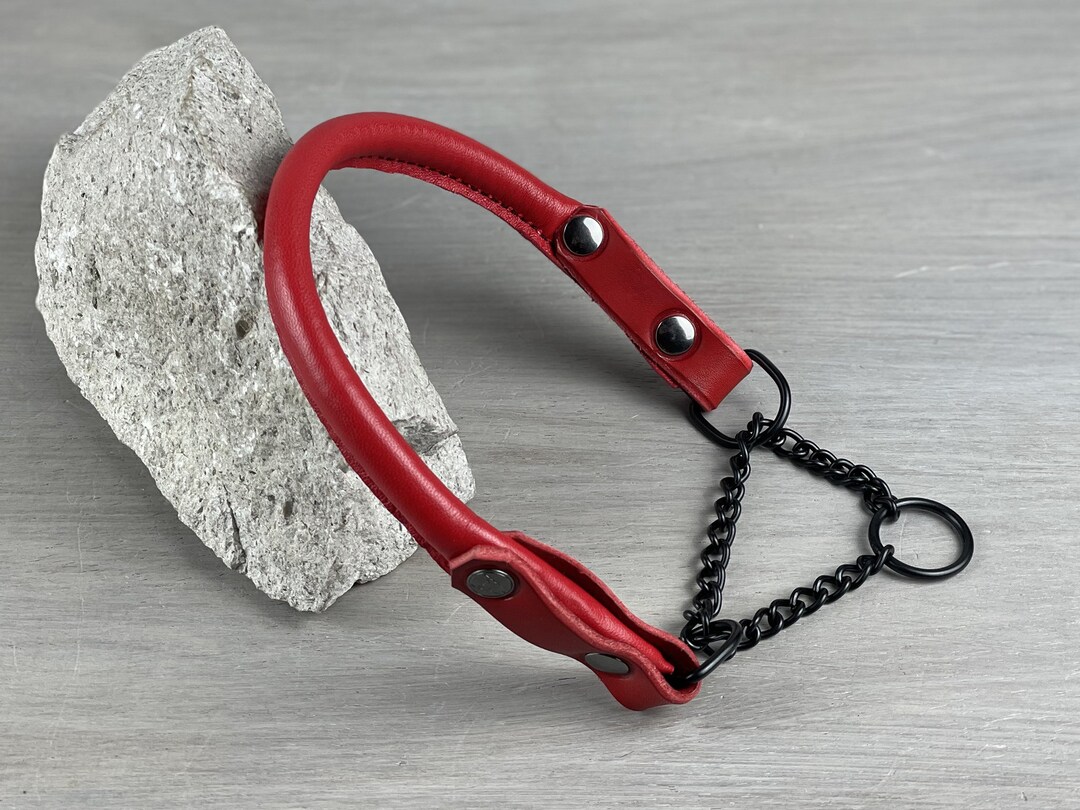 Red Rolled Leather Martingale Dog Collar With Black Hardware, Black