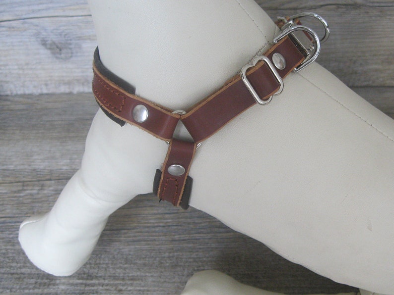 Step In Dog Harness in Light Brown Leather Optional FREE Id | Etsy