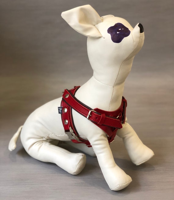 Red Leather Y Front Dog Harness Fully Adjustable for Small and - Etsy