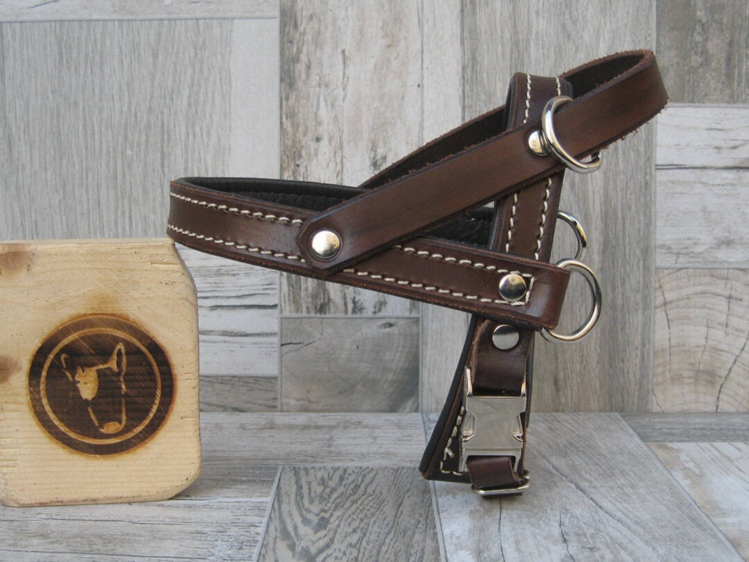 Dog Harness in Brown Leather, Soft and Adjustable Customizable Harness