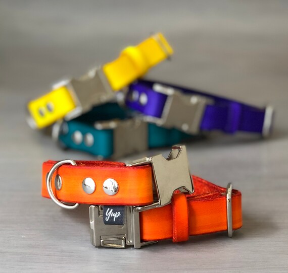 Orange Leather Dog Collar With Quick Release Silver Metal - Quick Release Leather Dog Collar Orange Leather Dog Collar With Quick Release Silver Metal - Quick Release Leather Dog Collar