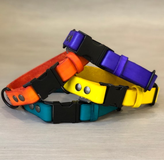 breakaway dog collar