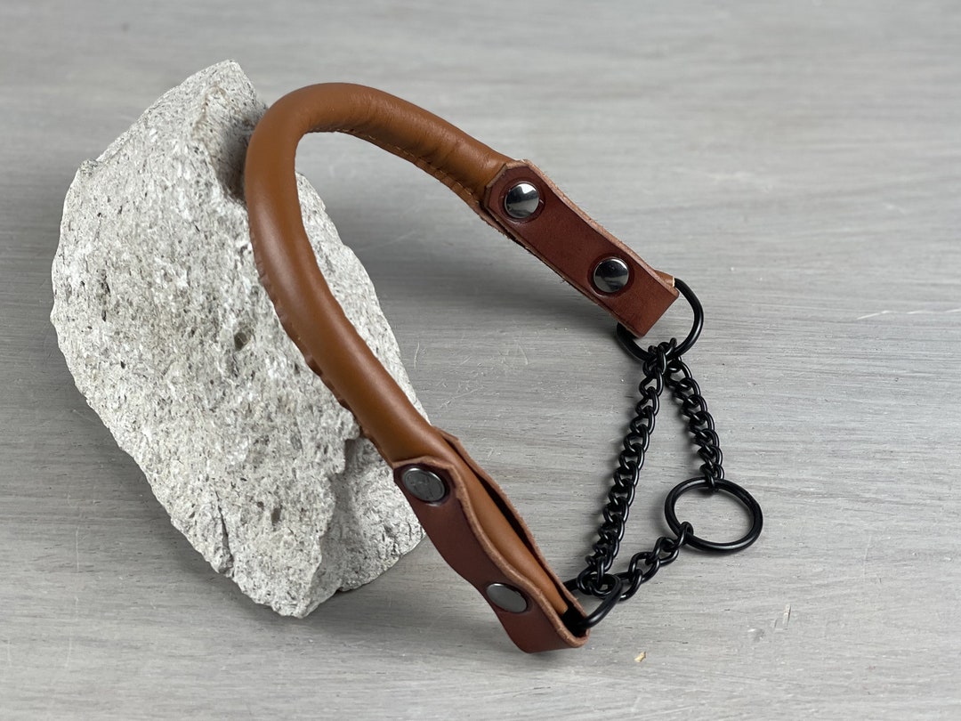 Papaya Rolled Leather Martingale Dog Collar With Black Hardware, Black