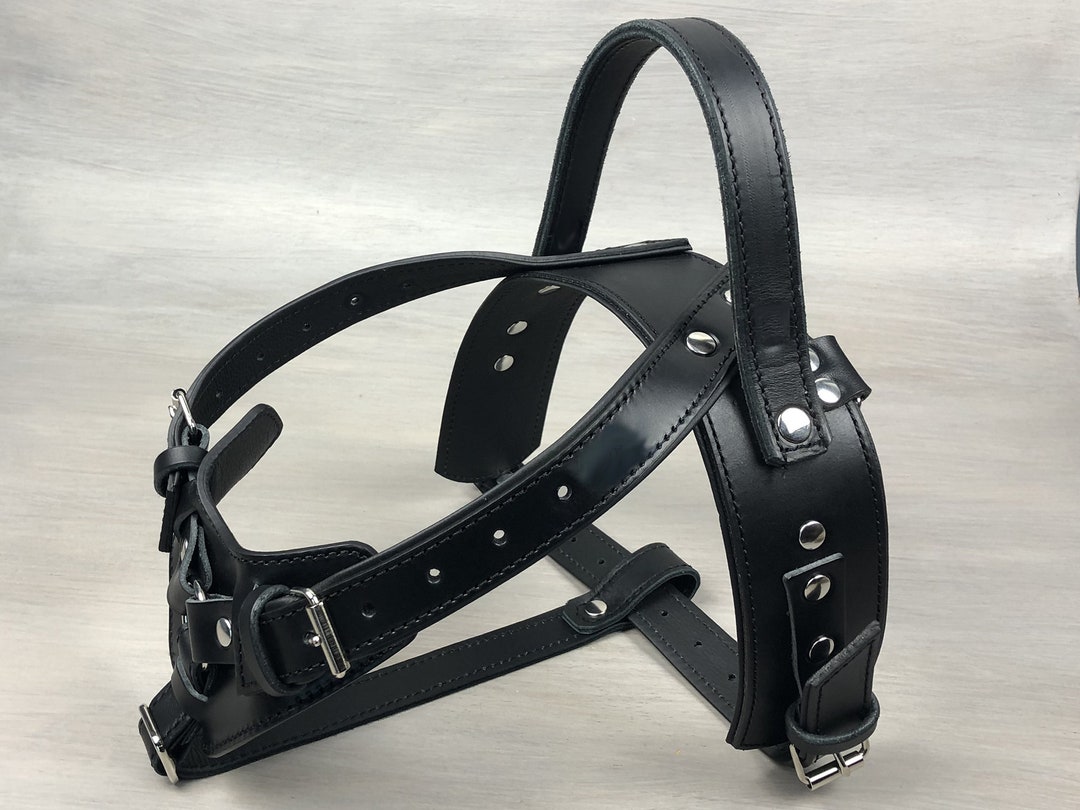 Leather Dog Y Front Harness With Fixed Handle, Full Adjustable Mobility Harness, Custom Working