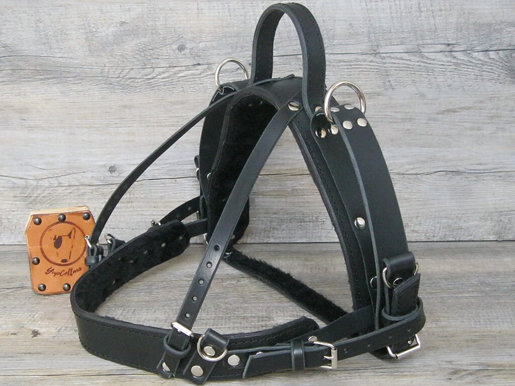 Guide Dog Harness with Fixed Semi Rigid Handle Custom Etsy