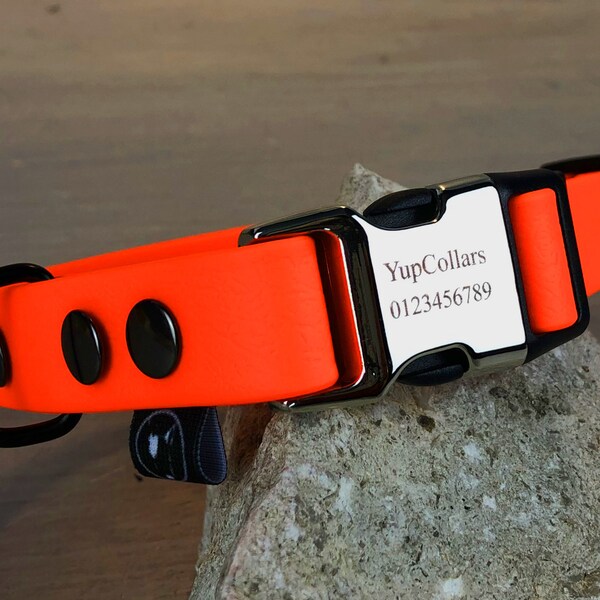 Orange bing Dog Collar Etsy