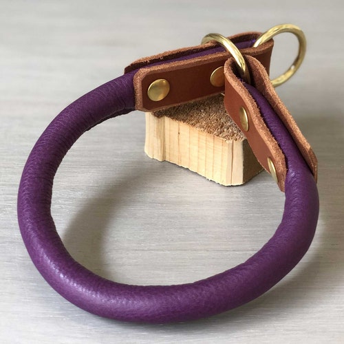 Rolled Leather Martingale Dog Collar Purple and Papaya Etsy
