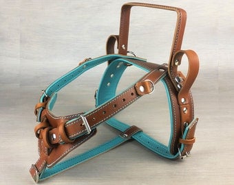 brace and mobility support harnesses