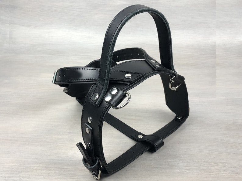 Leather Service Dog Y Front Harness Black Hardware Ideal for Etsy