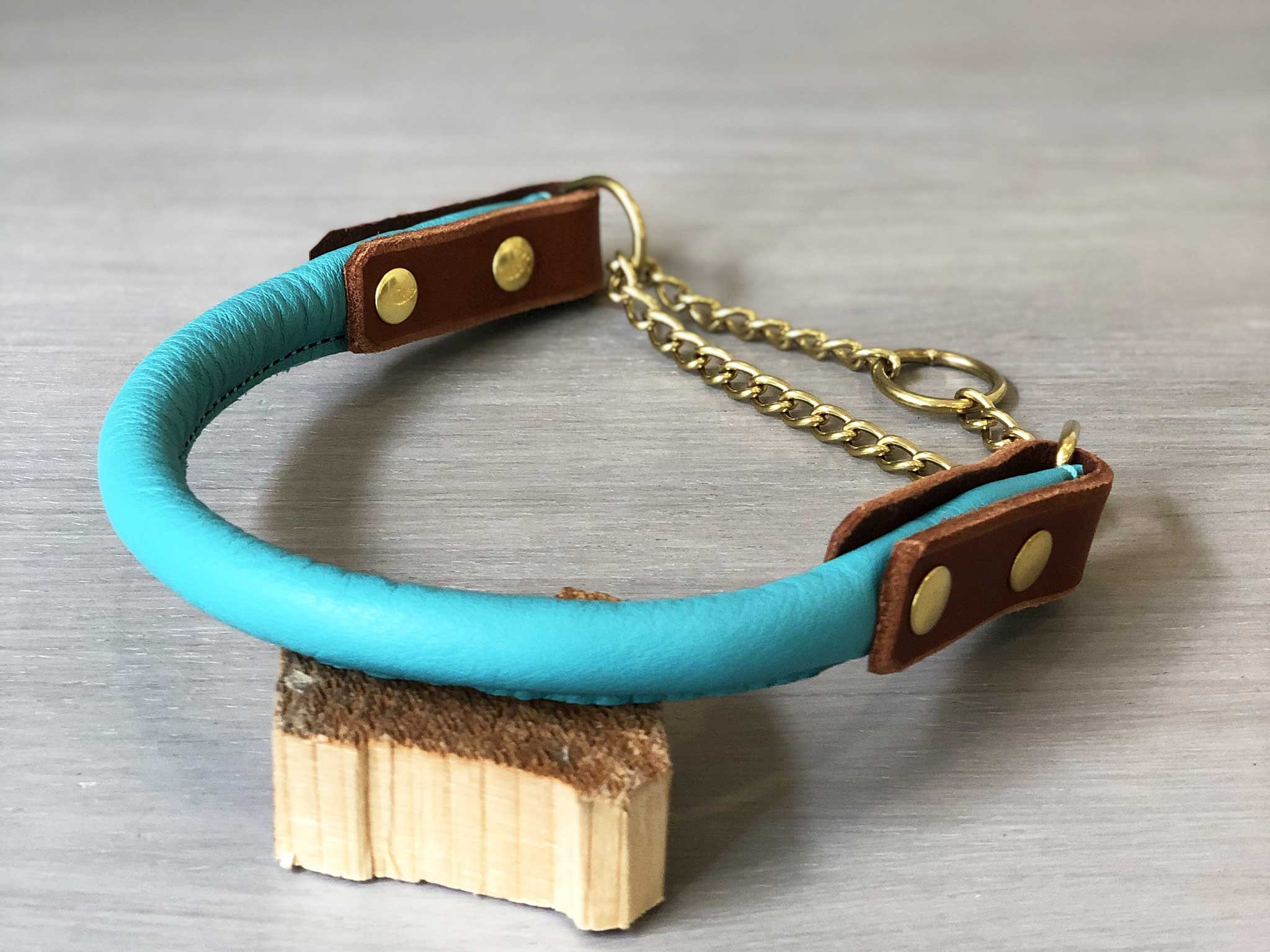 Rolled Leather Martingale Dog Collar, Solid Brass Hardware, Teal and