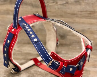 yup mobility harness