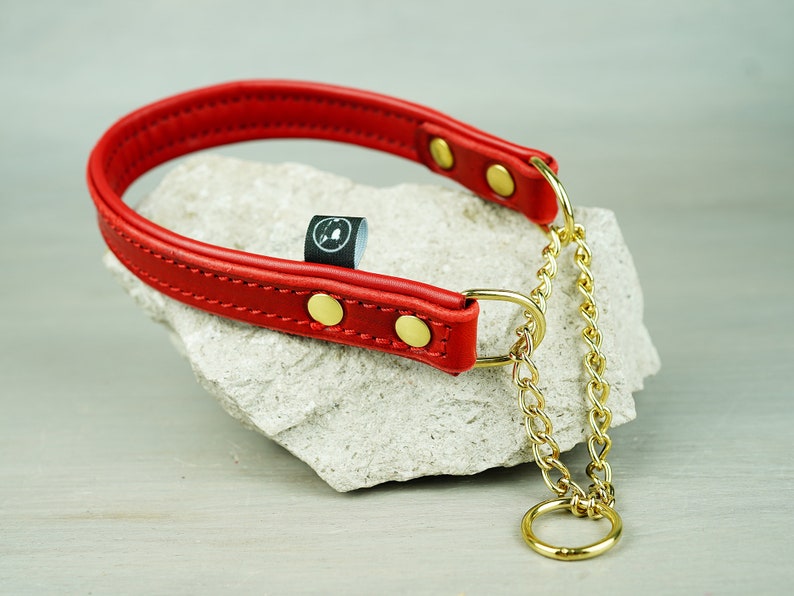 Papaya Padded Leather Martingale Dog Collar Solid Brass Etsy