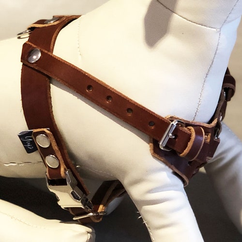 Red Leather Y Front Dog Harness Fully Adjustable for Small and Etsy