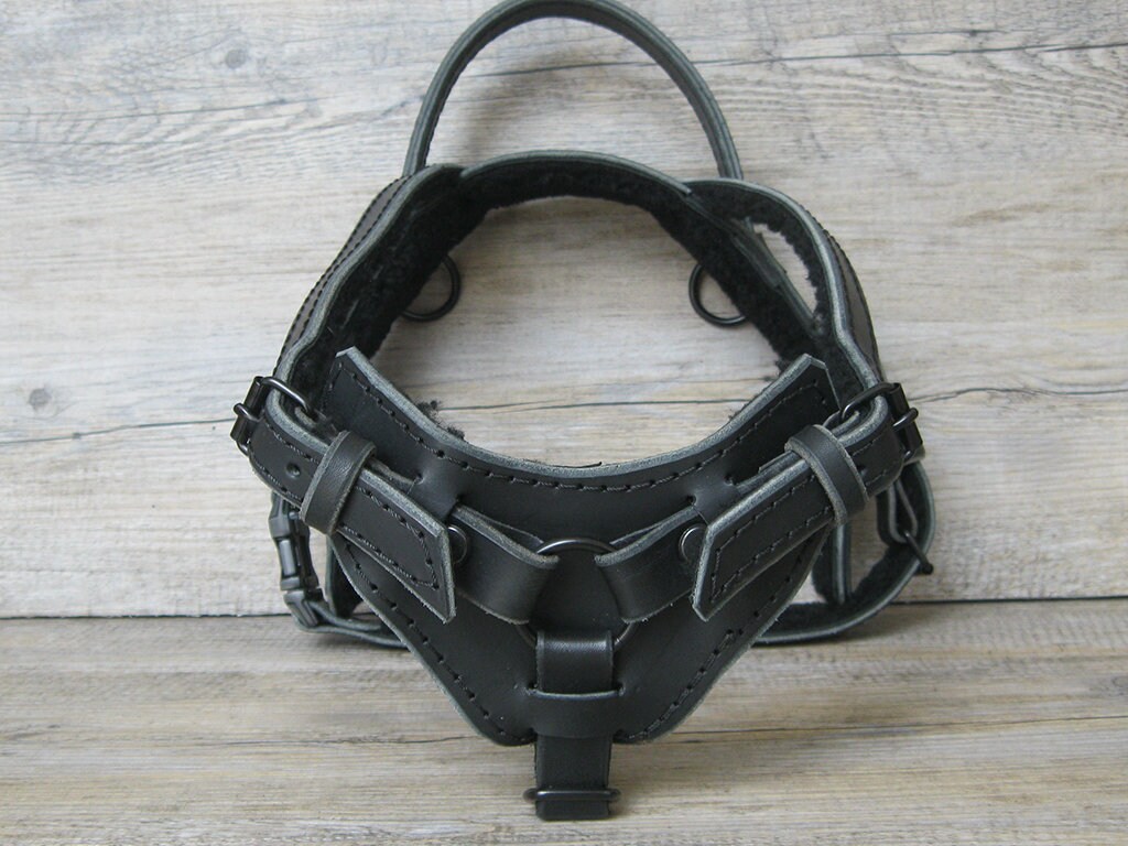 Leather Service Dog Y Front Harness, Black Hardware, Ideal for Bracing and Pulling, Full