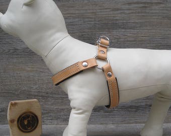 Step In Dog Harness in Tan Leather, Soft Padded Dog Harness, Adjustable Dog Harness for Small and Medium Dogs, No Pull Dog Harness