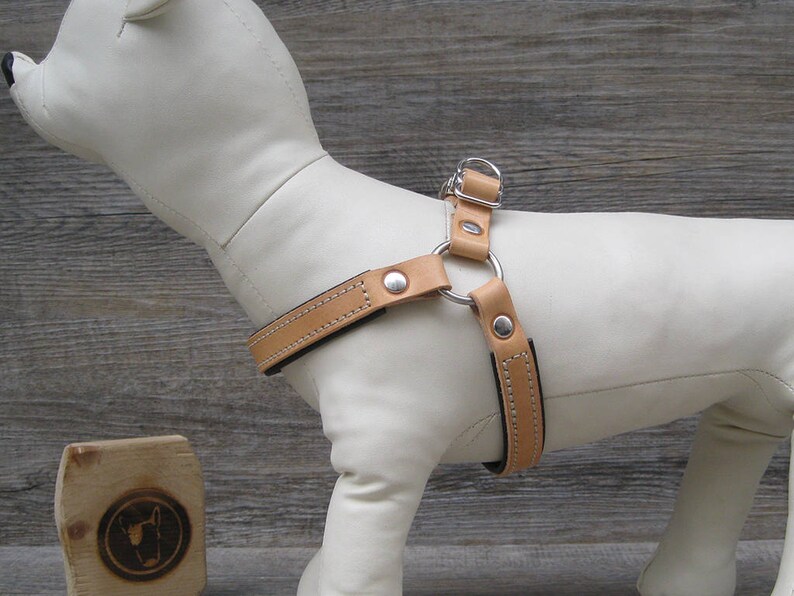 Step in Dog Harness in Tan Leather Soft Padded Dog Harness Etsy