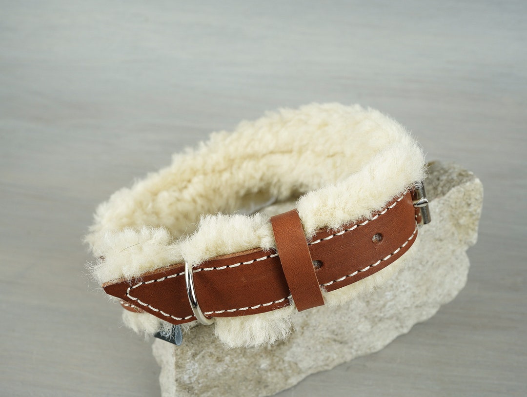 Papaya Leather Dog Collar Padded With Extra Fluffy Sheepskin, Custom