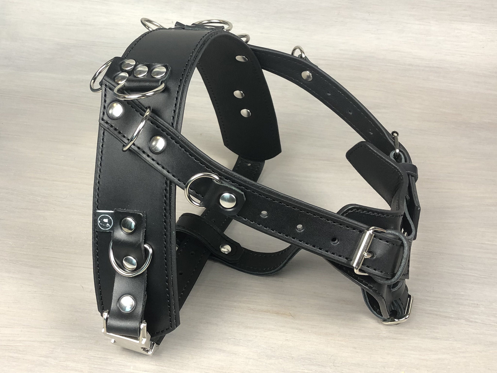 full dog harness