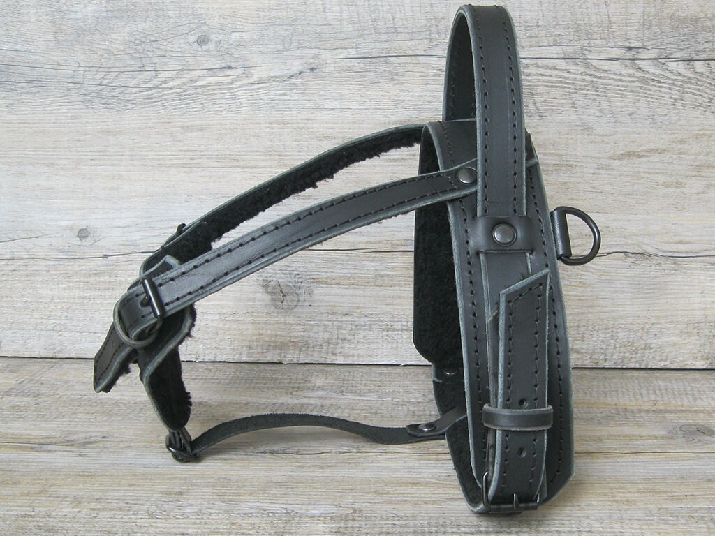 Leather Service Dog Y Front Harness, Black Hardware, Ideal for Bracing and Pulling, Full