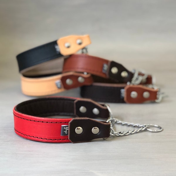 Dog Martingale Padded Collar Etsy
