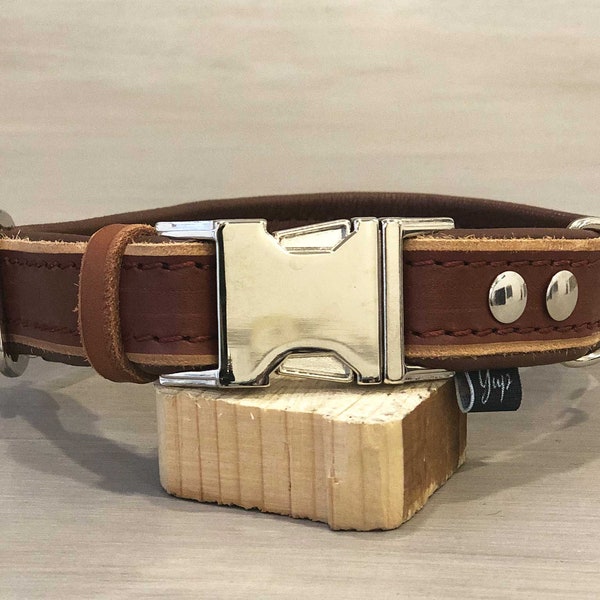 Durable Dog Collar Etsy