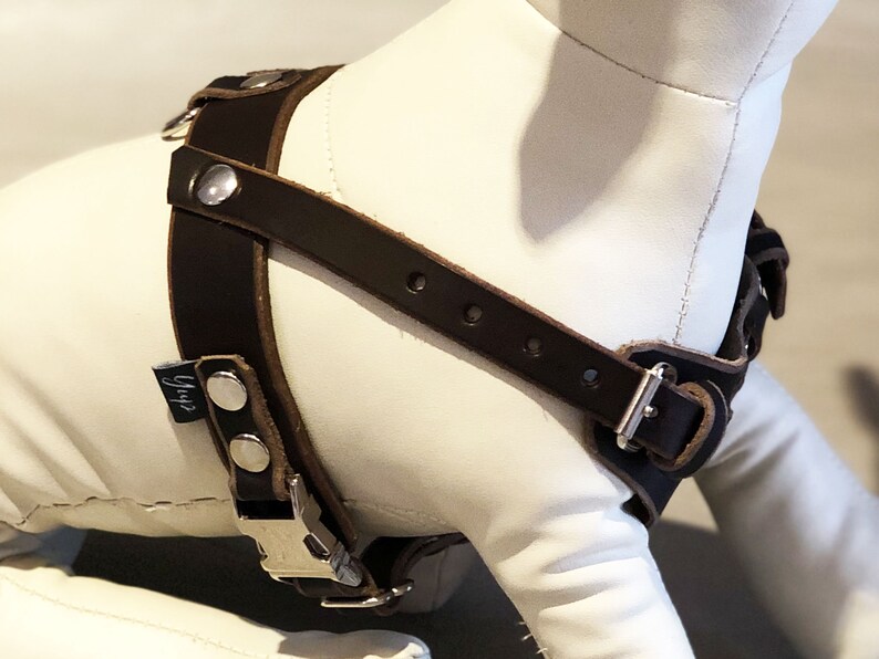Brown Leather Y Front Dog Harness Fully Adjustable for Small Etsy