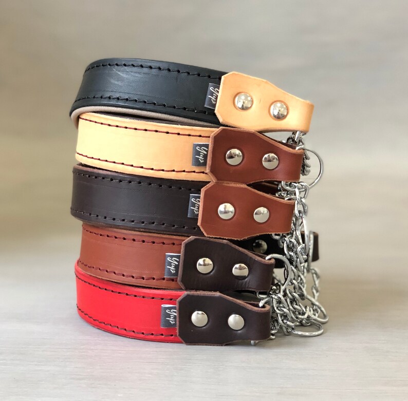 Padded Martingale Collar Brown Leather Collar Slip on Etsy