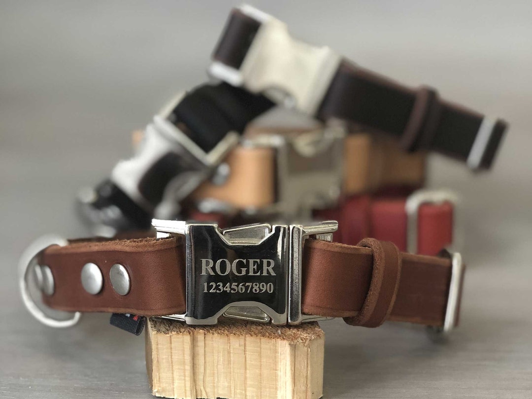 Engraved Buckle Leather Dog Collar 5 Leather Colors Quick Etsy