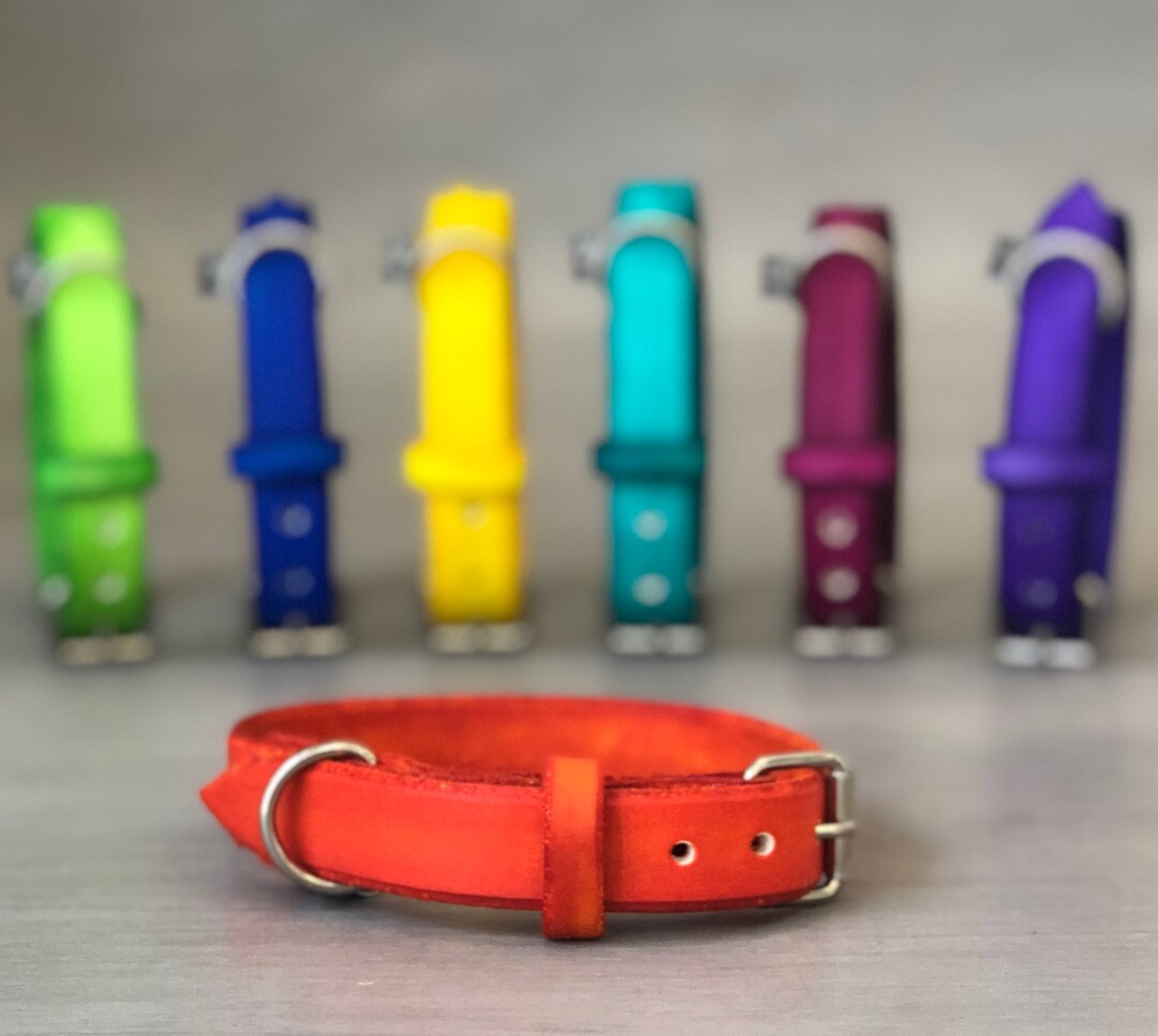 Orange Leather Dog Collar Available for All Sizes and Breeds, 6 Widths, Colorful Leather Collars