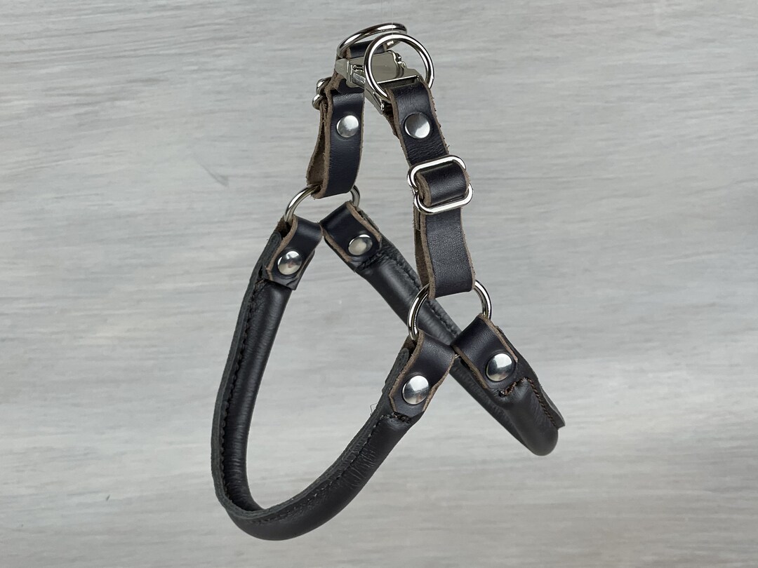 Step In Leather Dog Harness
