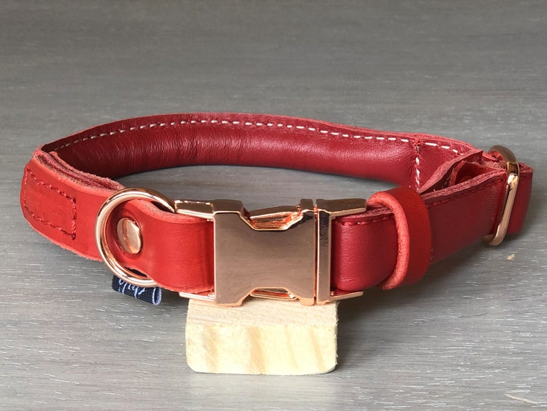 gold leather dog collar