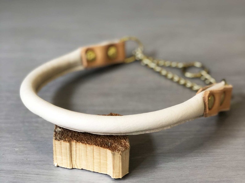 Rolled Leather Martingale Dog Collar Solid Brass Hardware Etsy