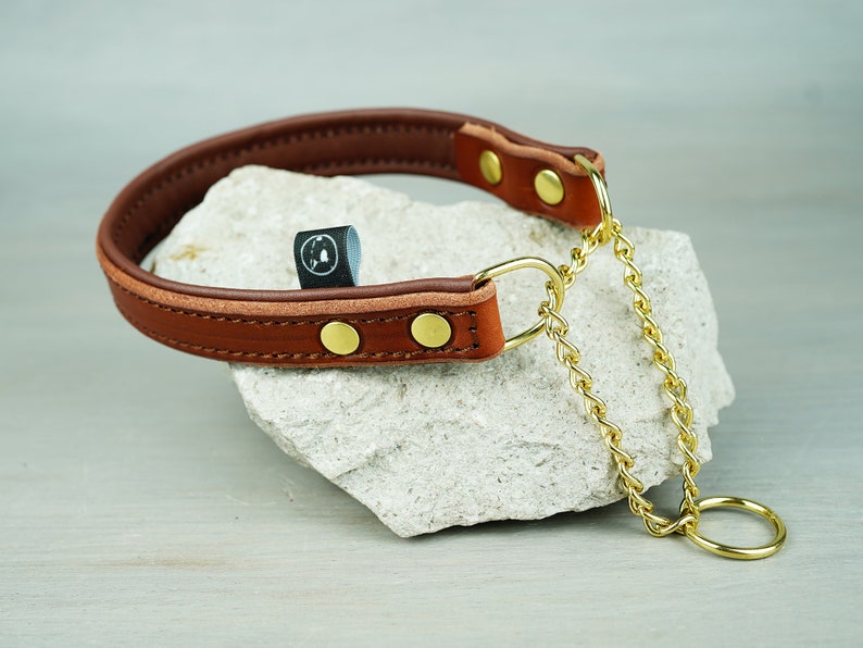 Papaya Padded Leather Martingale Dog Collar Solid Brass Etsy