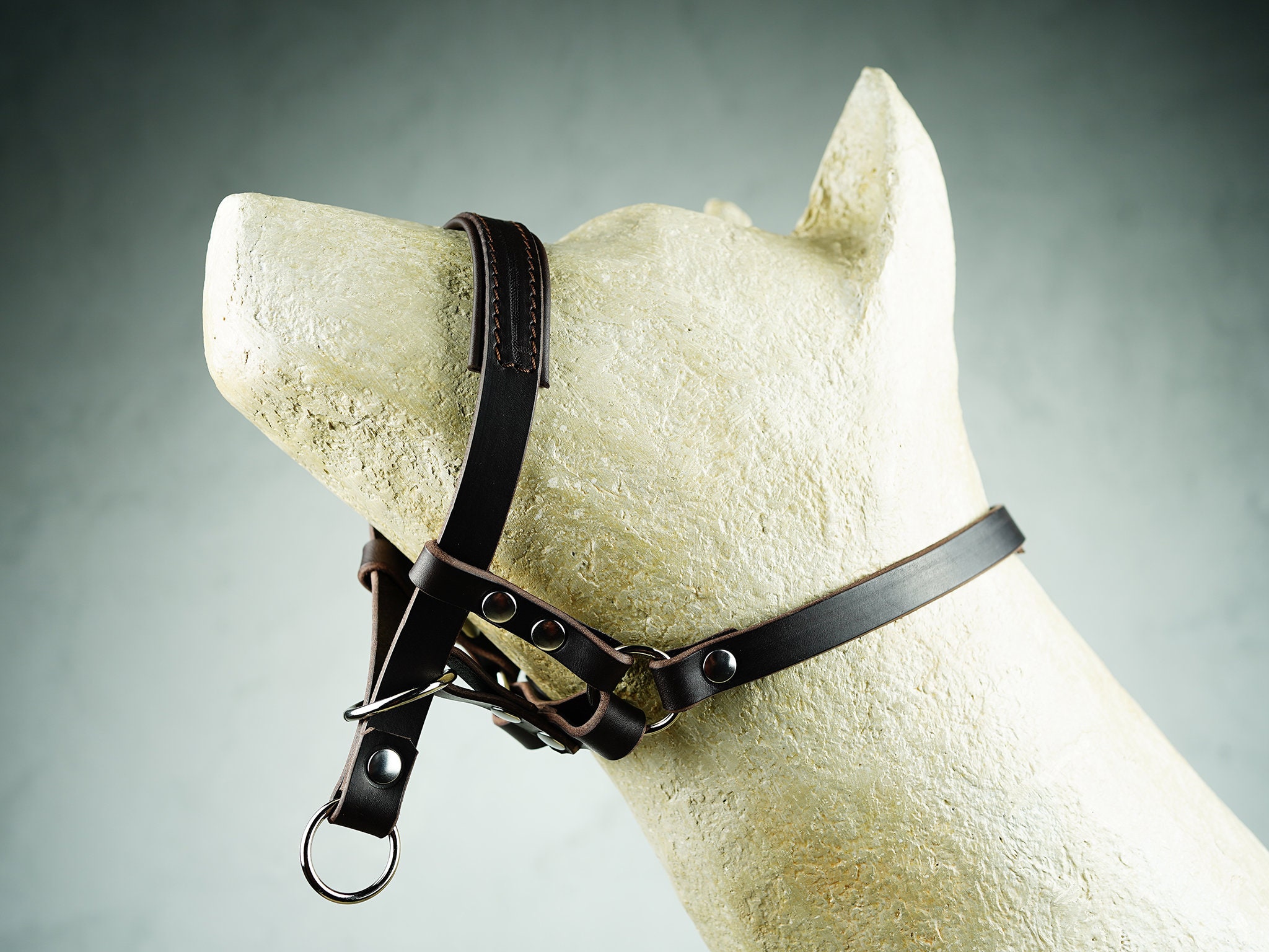 Leather head best sale halter for dogs