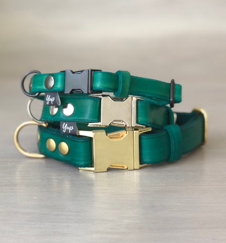 Emerald Green Leather Dog Collar With Brass Silver or Black Etsy