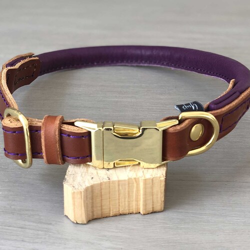 Padded Leather Quick Release Dog Collar in Papaya and Teal Etsy