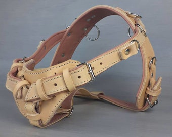 yup mobility harness