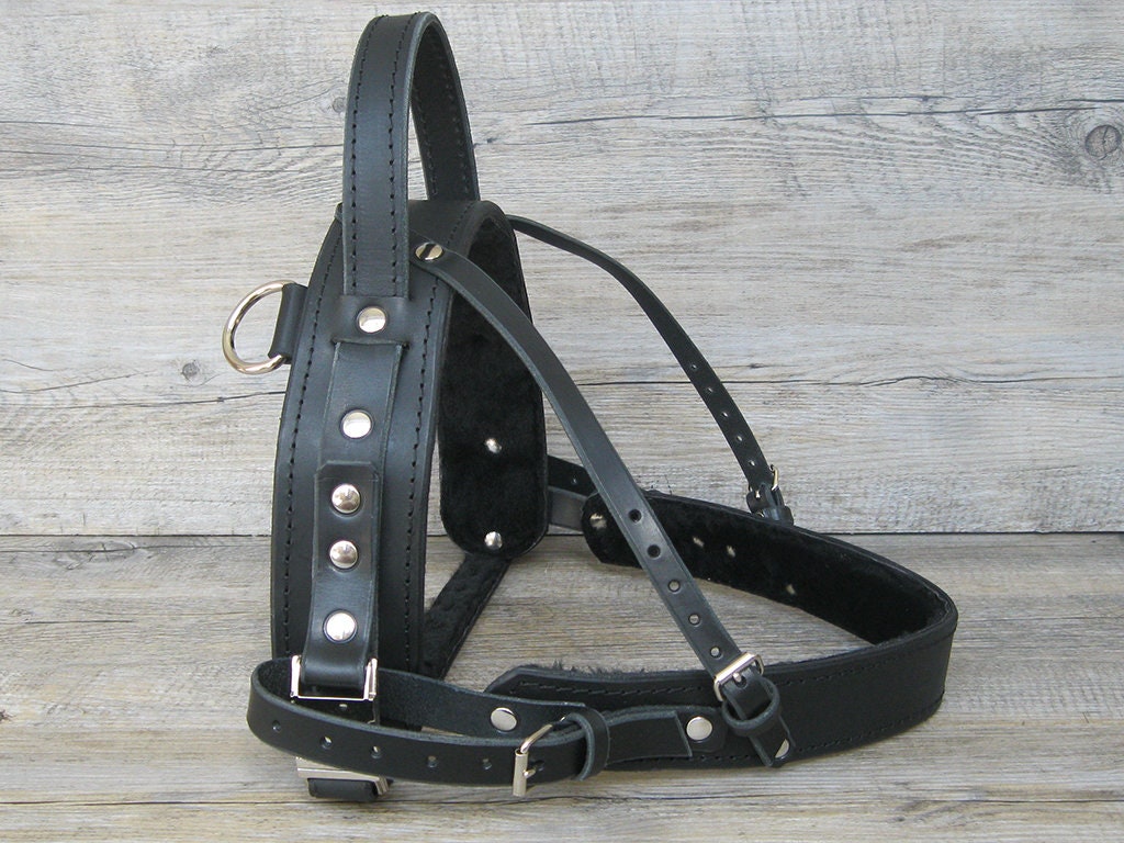 Service Dog Harness, Black Leather Service Harness, Full Adjustable