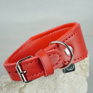 Padded Leather Tapered Dog Collar, Red Color, Wide Leather Dog Collar , Optional FREE ID Tag, Strong and Durable Handmade Dog Collar