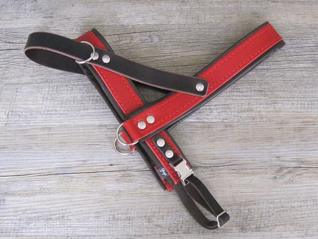 Red Dog Harness, Leather Harness, Adjustable Harness for Small and