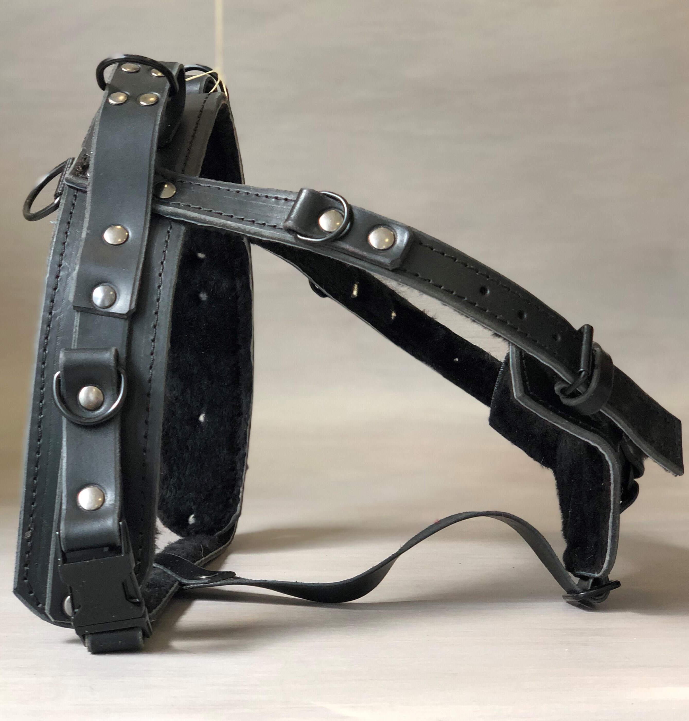 Y Front Service Dog Harness for Guide and Pulling, Full Adjustable