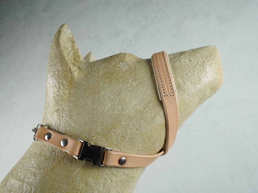 Tan Padded Leather Dog Gentle Leader With Martingale Chain, Dog Head