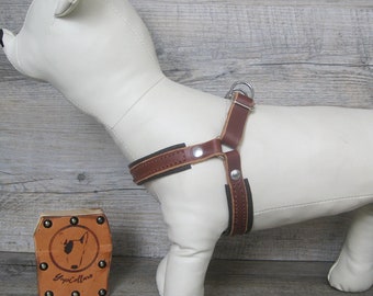 Step In Dog Harness in Light Brown Leather, Optional FREE Id Tag, Adjustable Harness for Small and Medium Dogs, No Pull Dog Harness