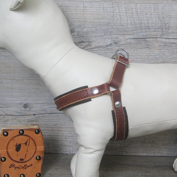 Rolled Leather Dog Harness Etsy