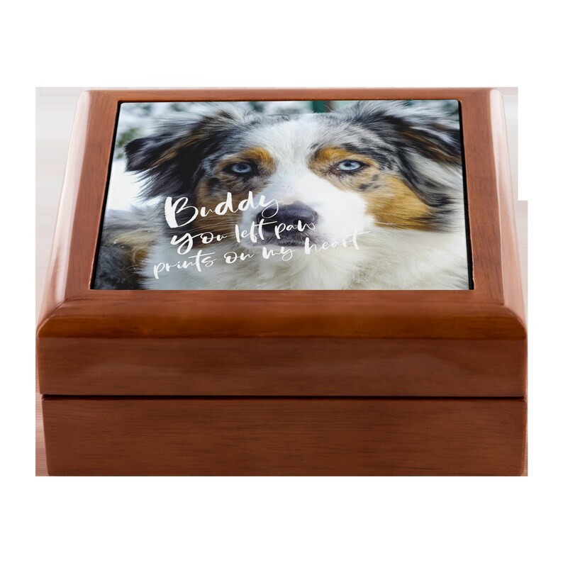 Dog Memorial Box Personalized 5.5 Printed Ceramic Etsy