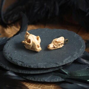 May include: Two small, detailed animal skulls made of bone-colored resin. The skulls are sitting on a black slate surface. The larger skull has a more defined jawline and is facing forward. The smaller skull is facing slightly to the right and has a more rounded jawline.